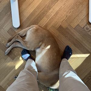 The real benefit of a standing desk.