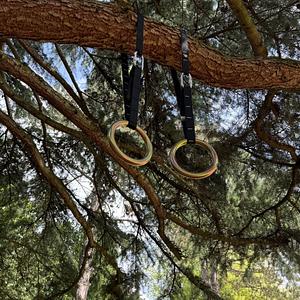 New workout setup in the garden. I used gym rings made of galvanized steel from Fit & Rack (https://www.fitandrack.com/shop/anm-001-anneaux-de-gym-en-metal-pour-exterieur-1618). The quality is fantastic.