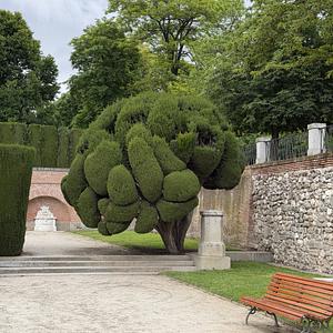 Cool tree